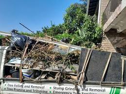 Best Construction Debris Removal  in New Athens, IL